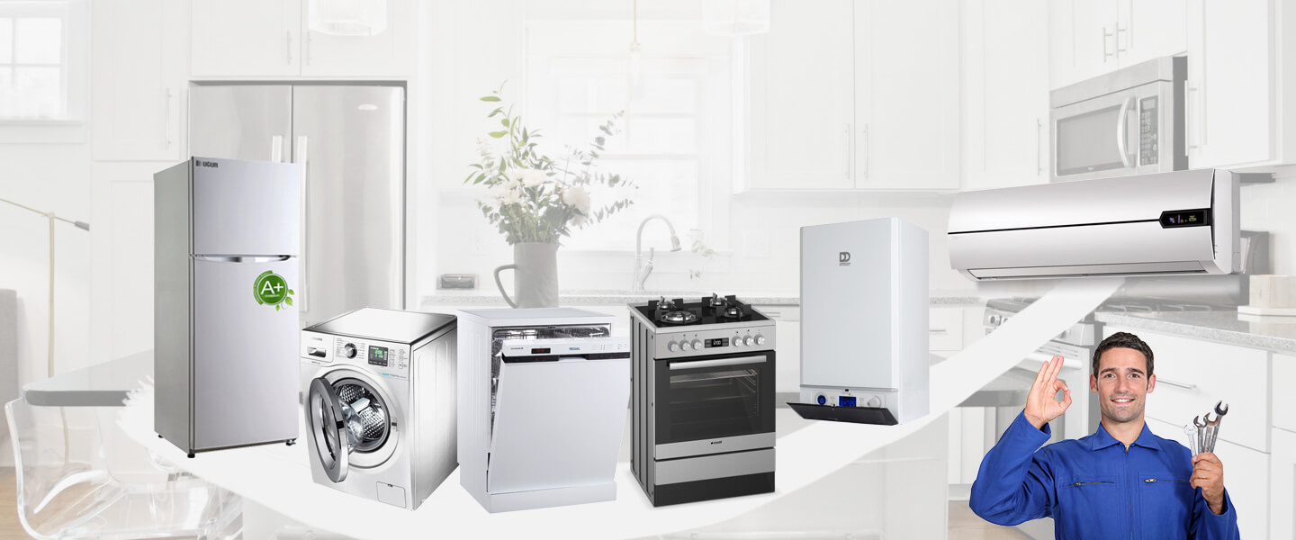 Mudanya Electrolux Servisi